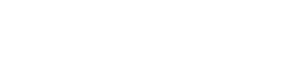TCS White Logo